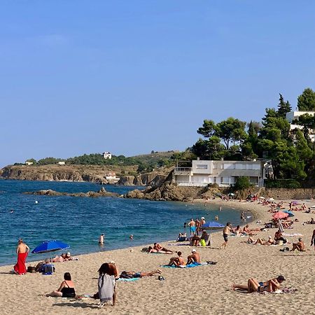 Maison De Flo Centre Historique Argeles Sur Mer Экстерьер фото
