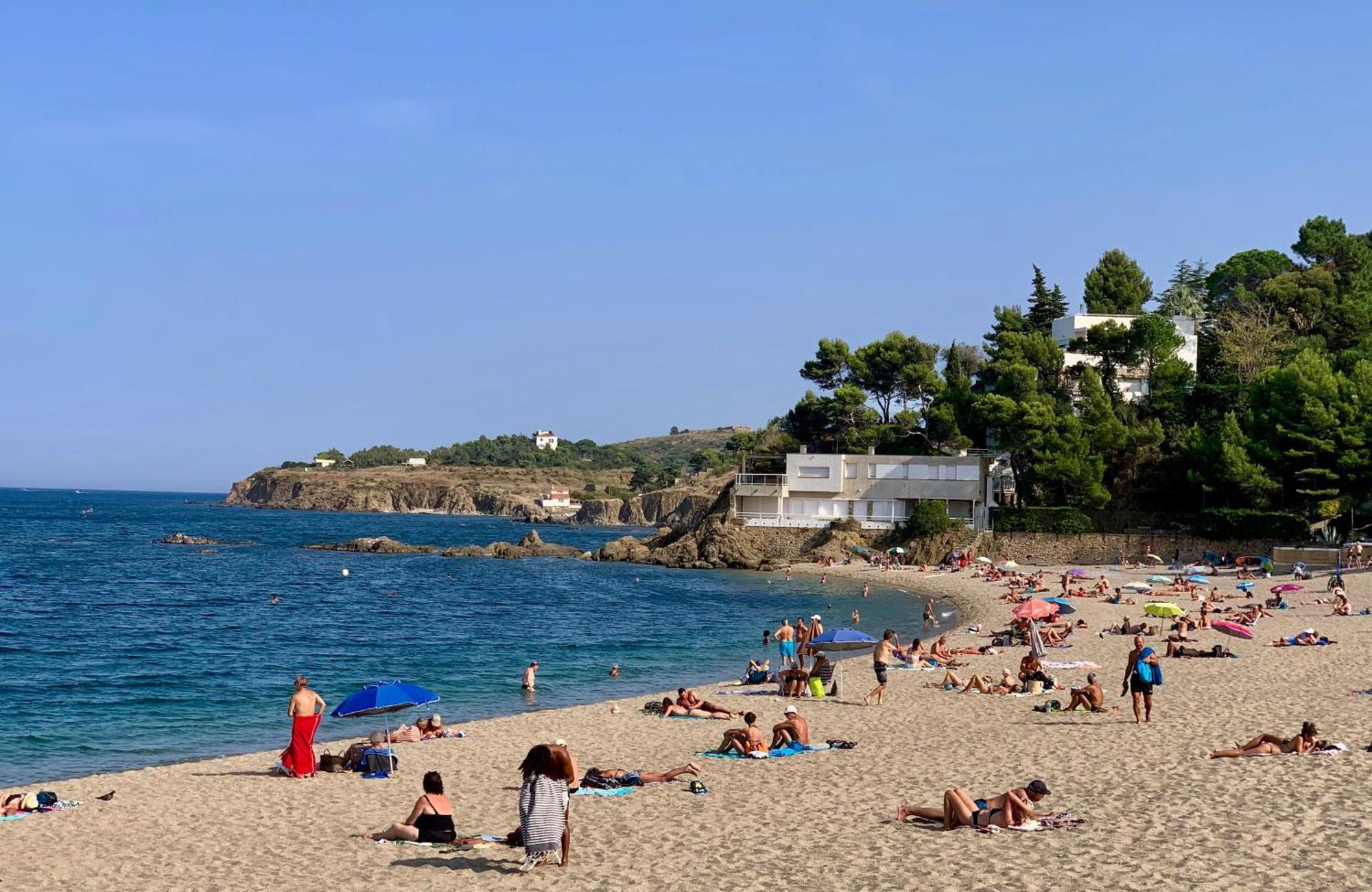Maison De Flo Centre Historique Argeles Sur Mer Экстерьер фото